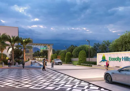 Home